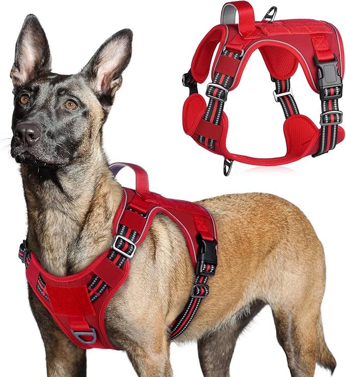 rabbitgoo Tactical Dog Harness for Large Dogs, No Pull Military Service Vest with Handle &amp; Molle, Easy Control for Training Walking, Adjustable Reflective Straps, Red, L