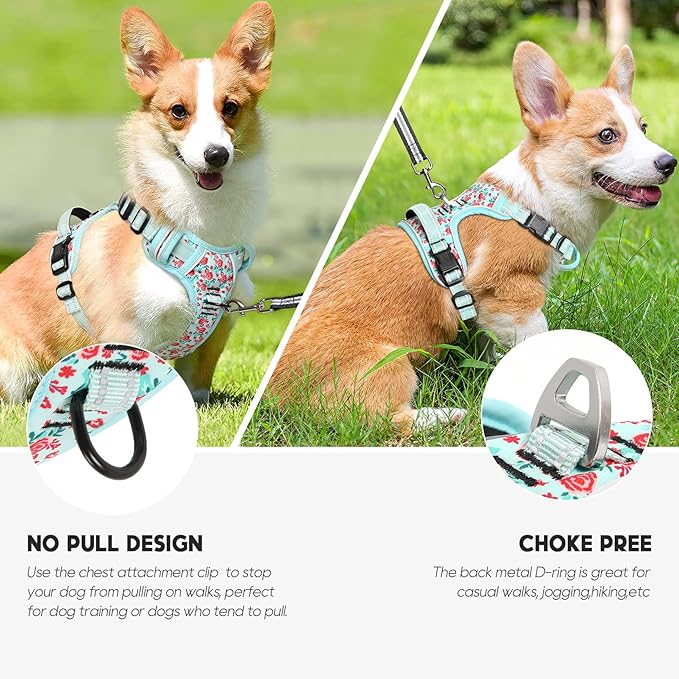 Timos No Pull Dog Harness, Release at Neck Reflective 3 Snap Buckles Adjustable No Choke Pet Vest with Front &amp; Back 2 Leash Clips, Soft Padded Control Training Handle for Small Medium Large Dogs