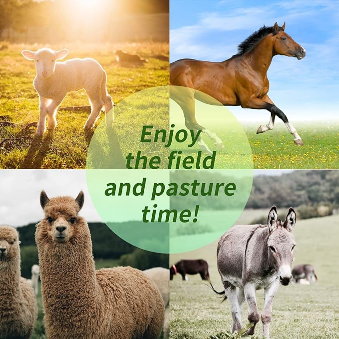 17 Inch Horse Play Ball - Anti-Burst Herding Ball for Play &amp; Training