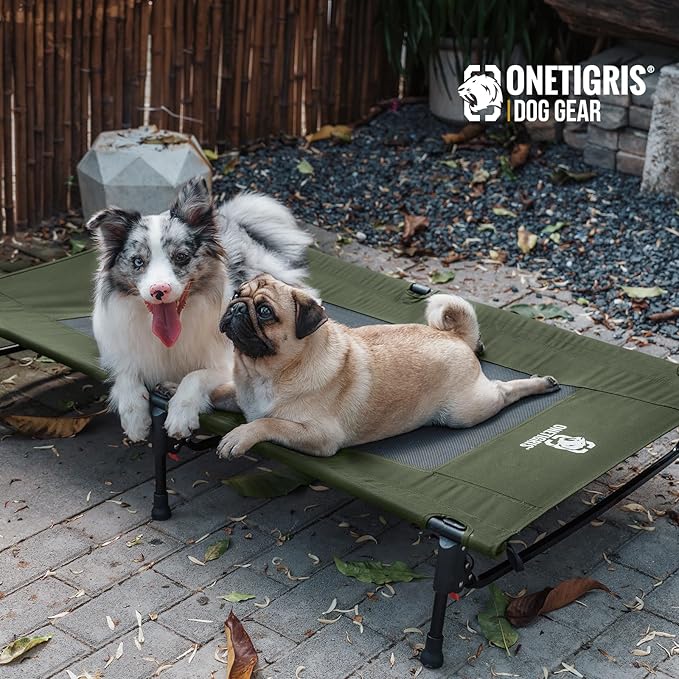 ONETIGRIS Elevated Dog Bed, Outdoor Dog Cod Large Raised Dogs Bed with Chew Proof Mesh, No-Slip Portable Dogs Cot Bed for Indoor &amp; Outdoor Portable (Green, Large)