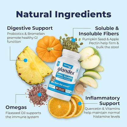 Vetnique Labs Glandex Dog Fiber Supplement Powder for Anal Glands with Pumpkin, Digestive Enzymes &amp; Dog Probiotics for Digestive Health - Vet Recommended - Boot The Scoot (Pork Liver, 4.0oz Powder)