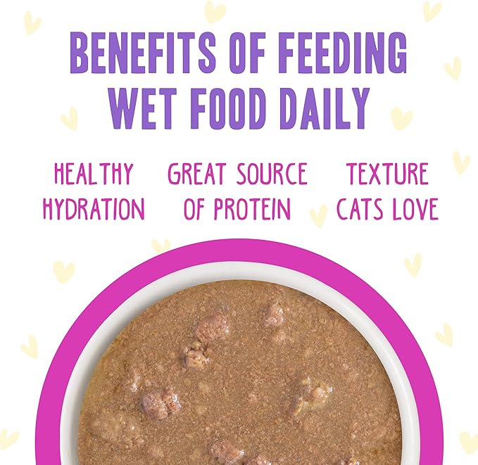 Weruva B.F.F. OMG - Best Feline Friend Oh My Gravy!, Chicken &amp; Duck Dream Team with Chicken &amp; Duck in Gravy, 2.8oz Can (Pack of 12)
