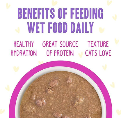 Weruva B.F.F. OMG - Best Feline Friend Oh My Gravy!, Chicken &amp; Duck Dream Team with Chicken &amp; Duck in Gravy, 2.8oz Can (Pack of 12)