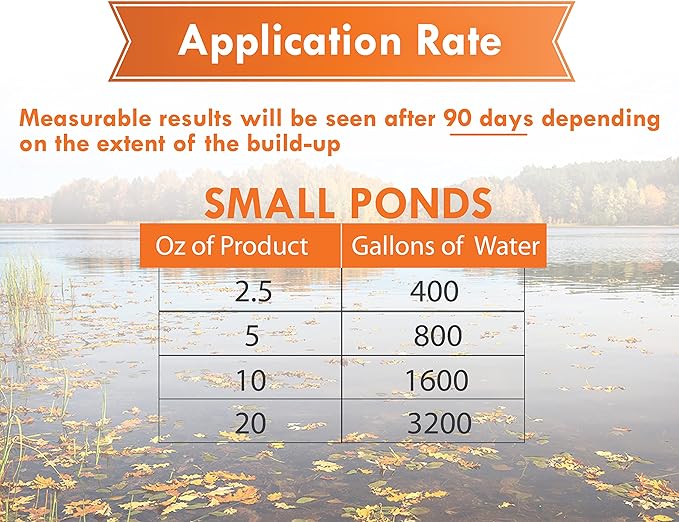 Pondworx Pond Bacteria - Concentrated &amp; Formulated for Water Features - Safe for Koi - 16 Ounces &amp; Treats up to 2,500 gallons of Water