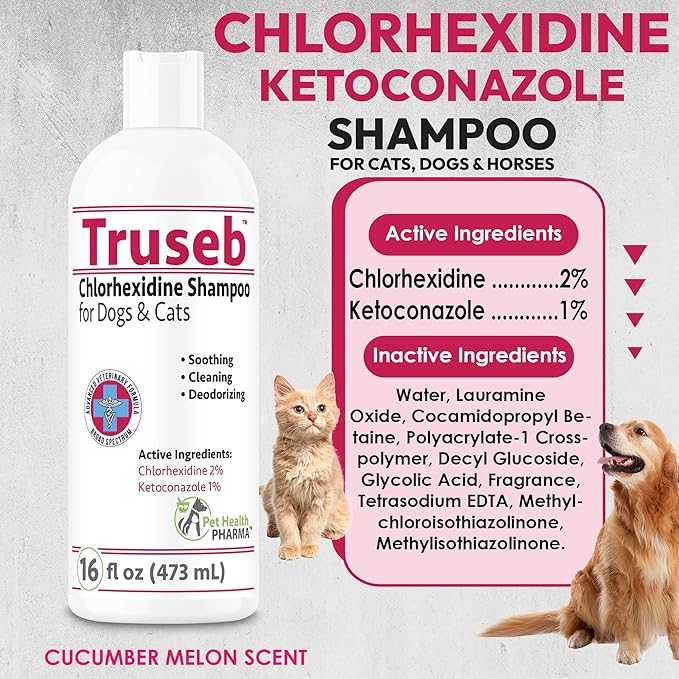 Truseb Topical Ketoconazole and Chlorhexidine Shampoo for Dogs, Cats &amp; Horses with Aloe Vera and Conditioner(USA) (Ketoconazole &amp; Chlorhexidine Shampoo, 16 oz)