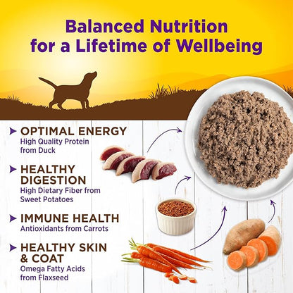 Wellness Complete Health Natural Wet Canned Dog Food, Duck &amp; Sweet Potato, 12.5-Ounce Can (Pack of 12)