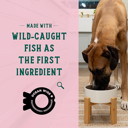 Open Farm Goodbowl, Oven-Baked Small Batch Dry Dog Food - Wild Caught Salmon &amp; Brown Rice Recipe, Includes Non-GMO Produce &amp; Grains, 22lb Bag (352oz Bag)