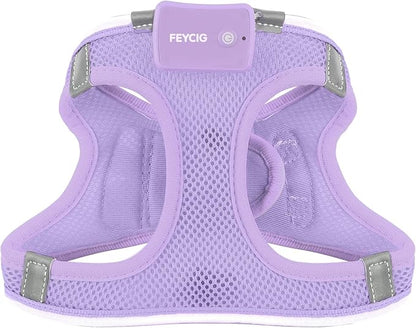 Light Up Dog Harness,Rechargeable LED Dog Harness for Small Medium Large Dogs,Reflective Lighted Safety Vest for Night Walking &amp; Camping,Lightweight &amp; Adjustable,Lavender Purple,XS