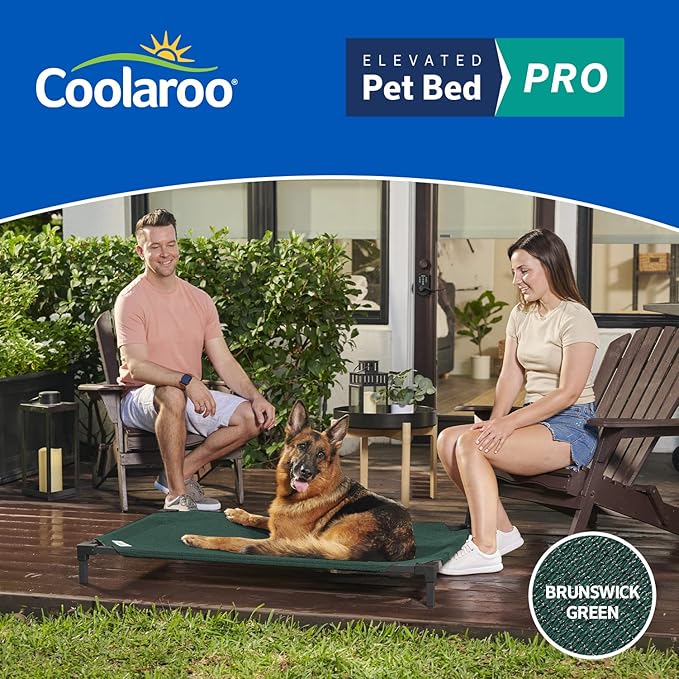 Coolaroo Pro Elevated Dog Bed - Low-Profile Access, Moisture-Resistant Cover, Breathable Fabric &amp; Tool-Free Setup, Brunswick Green, Standard