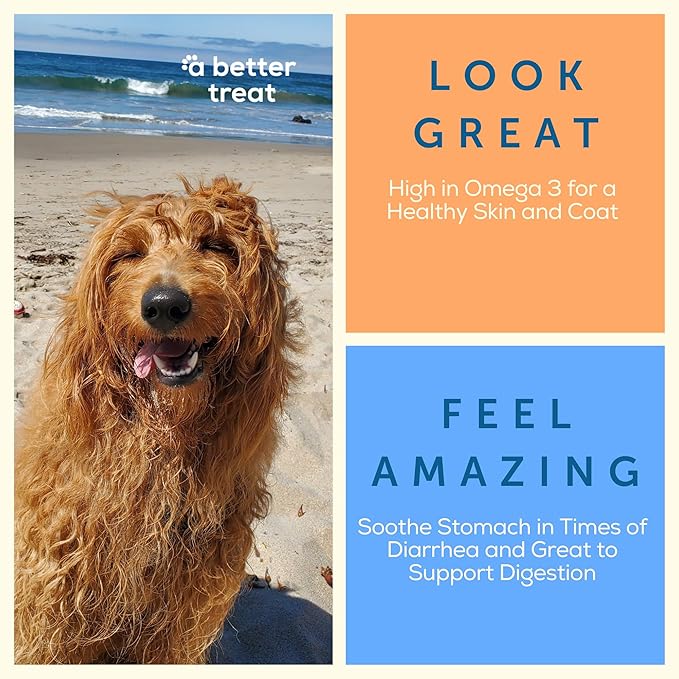 A Better Treat – Freeze Dried Organic Pumpkin, Wild Caught Salmon, Organic Grass Fed &amp; Finished Pasture Raised Beef, Organic Chicken Dog and Cat Treats | Healthy, Diabetic Friendly | Made in The USA