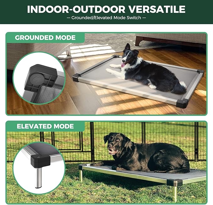 FXW TitanNest Chew-Proof Elevated Dog Bed, Raised Cot for Indoor/Outdoor/Camping Use, Durable &amp; Washable Padded Pet Bed for Medium Dogs, 42.0" L x 27.0" W x 5.0" H, Gray