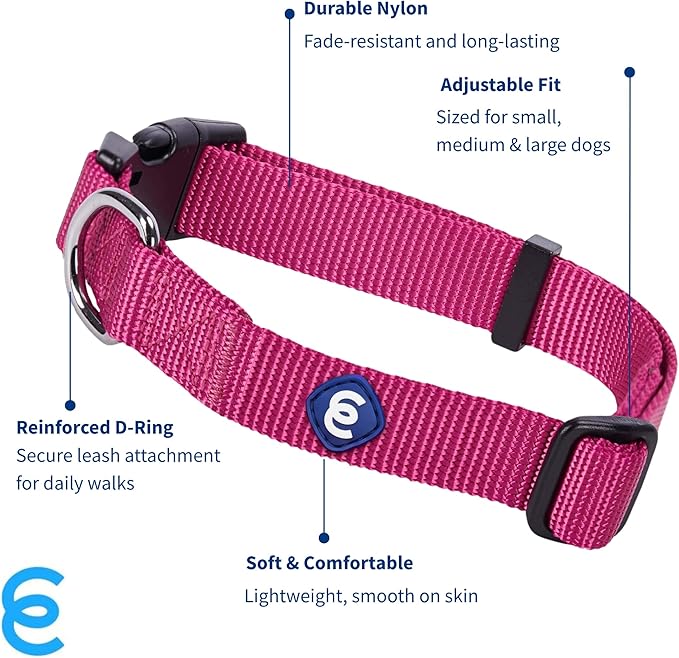 Blueberry Pet Essentials Small Dog Collar in Very Berry | Adjustable &amp; Eco-Friendly Durable Nylon Strap | Classic Collar for Small Dogs, Boy &amp; Girl Pets