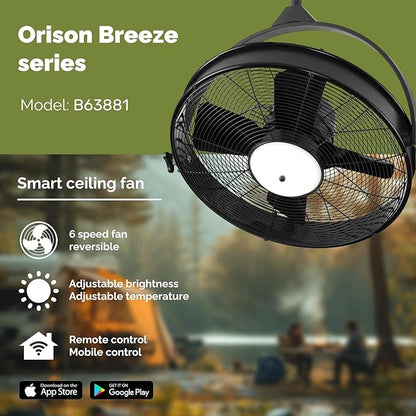 Orison 24.8&