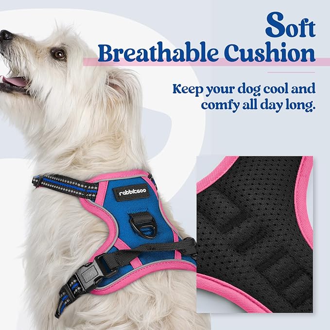 rabbitgoo Dog Harness No Pull with 2 Leash Clips, Adjustable Soft Padded, Reflective Oxford No Choke Pet Vest with Easy Control Handle for Large Dogs, Blue &amp; Hot Pink, XS