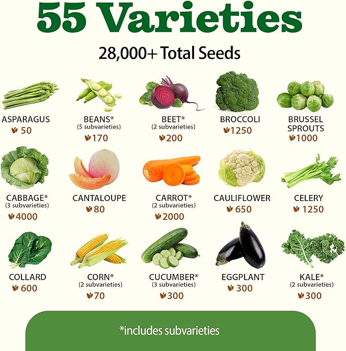 HOME GROWN 𝗨𝗦𝗔 𝗣𝗥𝗘𝗠𝗜𝗨𝗠 55 Vegetable Seeds Pack 28,000+ Non-GMO Heirloom Seeds for Planting, Spring Fall Winter Garden Kit, Survival Seed Vault for Preppers &amp; Gardeners, Gift for Men &amp; Women