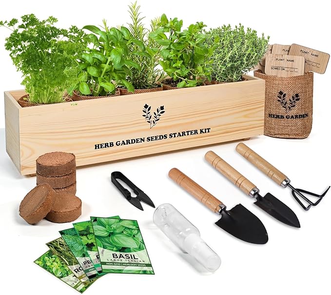 5 Herb Seeds Garden Starter Kit with Complete Planting Kit &amp; Wooden Flower Box, Growing into Basil, Parsley, Rosemary, Thyme, Mint for Kitchen Windowsill Herb Garden DIY