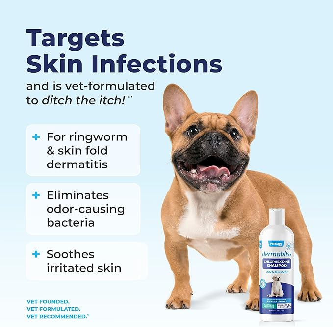 Vetnique Dermabliss Chlorhexidine for Dogs Skin Health - Antibacterial Medicated Dog Shampoo - for Skin Infections &amp; Irritation, Hot Spots &amp; Redness Relief (Medicated Shampoo, 16oz)