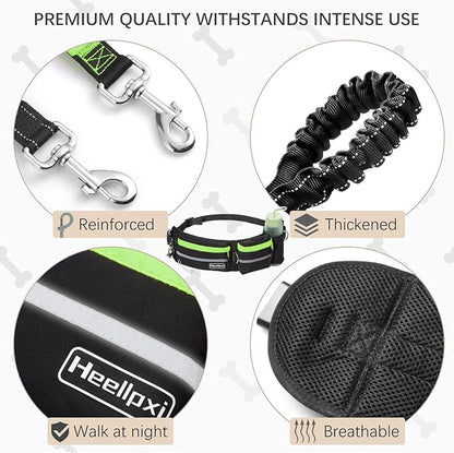 Hands-Free Waist Leash with Pouch for Two Dogs: Reflective Stitching, Dual Handle &amp; Bungee Retractable Design – Ideal for Medium to Large Dogs (Green) – Dog Walking Accessories