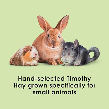 Kaytee All Natural Timothy Hay for Guinea Pigs, Rabbits &amp; Other Small Animals, 6 Pound