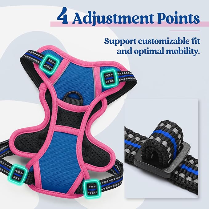 rabbitgoo Dog Harness No Pull with 2 Leash Clips, Adjustable Soft Padded, Reflective Oxford No Choke Pet Vest with Easy Control Handle for Large Dogs, Blue &amp; Hot Pink, XS