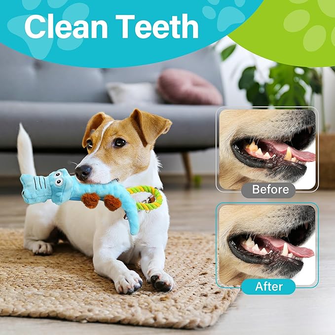 Prime Pets Dog Squeaky Toy, 2 Pack, Tug of War Dog Toys for Small Medium Large Dogs, Interactive Plush Puppy Chew Toy