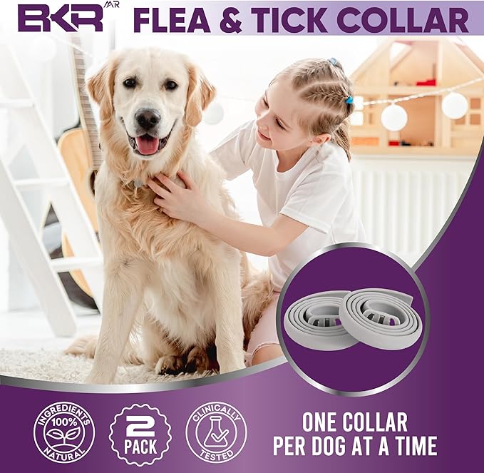 Flea Collar for Dogs – 2 Pack 16 Month Natural Flea &amp; Tick Prevention Dog Flea Collar Adjustable One Size Fits All, Safe and Effective