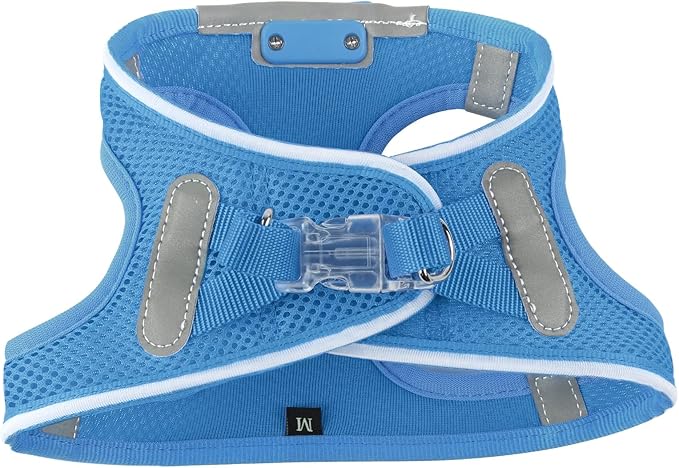 Light Up Dog Harness,Rechargeable LED Dog Harness for Small Medium Large Dogs,Reflective Lighted Safety Vest for Night Walking &amp; Camping,Lightweight &amp; Adjustable,Sky Blue,S
