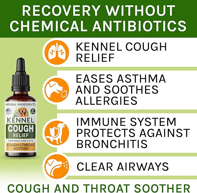 Kennel Cough Herbal Drops for Dogs &amp; Cats - Cough Relief - Throat Soother - Dry and Wet Pet Cough - Made in US - 2 Fl Oz