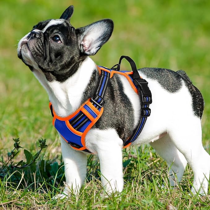 Eagloo Dog Harness Small Sized Dog, No Pull Service Vest with Reflective Strips and Control Handle, Adjustable and Comfortable for Walking, No Choke Pet Harness with 2 Metal Rings, Blue &amp; Orange, S