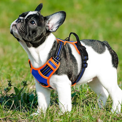 Eagloo Dog Harness Small Sized Dog, No Pull Service Vest with Reflective Strips and Control Handle, Adjustable and Comfortable for Walking, No Choke Pet Harness with 2 Metal Rings, Blue &amp; Orange, S