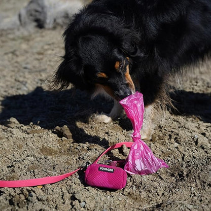 Best Pet Supplies Dog Poop Bags (240 Bags) for Waste Refuse Cleanup, Doggy Roll Replacements for Outdoor Puppy Walking and Travel, Leak Proof and Tear Resistant, Thick Plastic - Pink Heart
