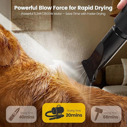 Dog Dryer, 5.2HP/3800W High Velocity Dog Hair Dryer with 4 Nozzles, Stepless Adjustable Speed &amp; Temperature Control, Low Noise Professional Dog Grooming Dryer (Black)
