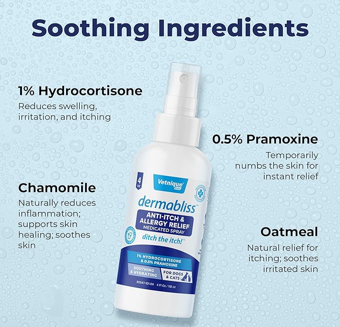Vetnique Dermabliss Anti Itch Spray for Dogs &amp; Cats with Hydrocortisone for Allergies and Immediate Dog Itching Skin Relief - Fragrance Free with Soothing Oat Extract (4oz)