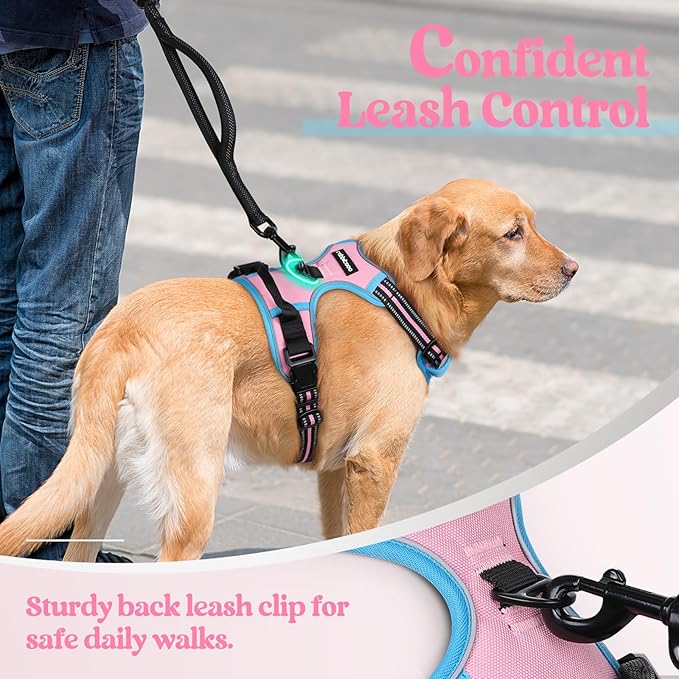rabbitgoo Dog Harness No Pull with 2 Leash Clips, Adjustable Soft Padded, Reflective Oxford No Choke Pet Vest with Easy Control Handle for Medium Sized Dogs, Pink &amp; Blue, M