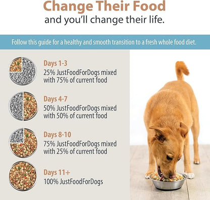 JustFoodForDogs DIY Nutrient Blend for Homemade Dog Food, Turkey &amp; Whole Wheat Macaroni Recipe
