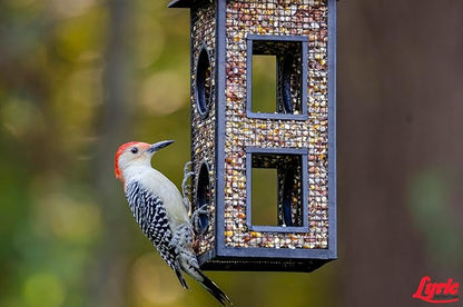 Lyric Woodpecker Wild Bird Seed, No Waste Bird Seed with Nuts, Dried Fruit &amp; Shelled Seeds - 5 lb. Bag