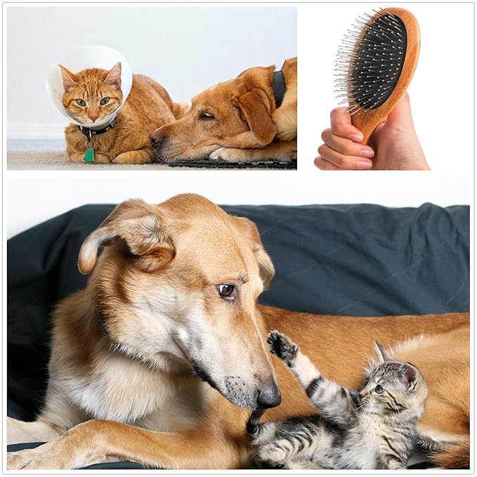 ClumsyPets Dog &amp; Cat Ball Pin Slicker Grooming Brush with Bamboo Handle for Pets Massage Bath and Removes Mats Loose Fur Hairs