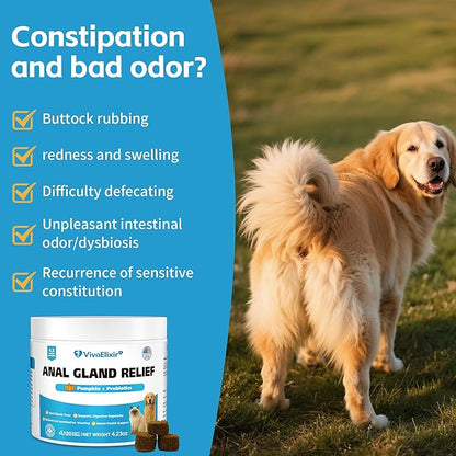 Cat Constipation Relief - Chewable Tablets - with Pumpkin, Psyllium Husk, Prebiotics &amp; Probiotics - Supports Gut Hydration, Bowel Regularity &amp; Immune Health - 120 Tablets