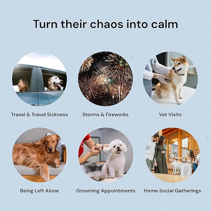 MalsiPree Calming Chews for Dogs - 145 pcs Salmon - Helps Regulate Mood - Anxiety Relief Treats - No Sedative Effect - Freeze Dried - with Passion Flower &amp; Melatonin