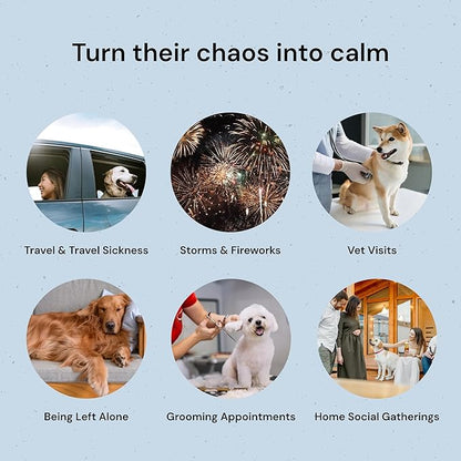 MalsiPree Calming Chews for Dogs - 145 pcs Salmon - Helps Regulate Mood - Anxiety Relief Treats - No Sedative Effect - Freeze Dried - with Passion Flower &amp; Melatonin