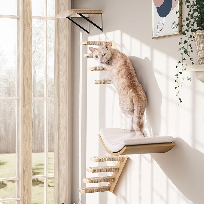 Wood Cat Wall Shelf with Soft Foam Cushion, Curved Cats Wall Bed for Large Cats, Floating Cat Perch for Sleeping &amp; Climbing