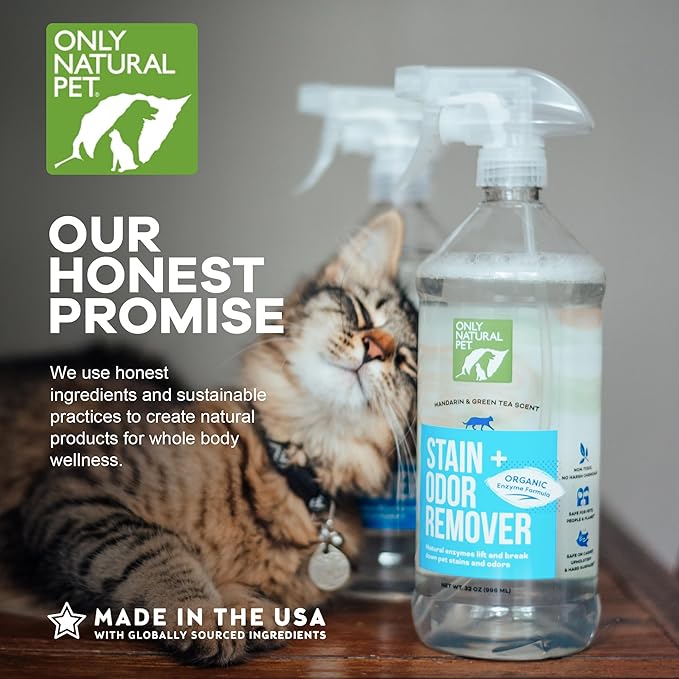Only Natural Pet Enzyme Powered Stain &amp; Odor Eliminator - Professional Pet Urine Pee Cleaner Deodorizer for Cats - Hardwood Floors Carpets Upholstery - Fresh Mandarin Orange &amp; Green Tea Scent 32Floz