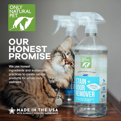 Only Natural Pet Enzyme Powered Stain &amp; Odor Eliminator - Professional Pet Urine Pee Cleaner Deodorizer for Cats - Hardwood Floors Carpets Upholstery - Fresh Mandarin Orange &amp; Green Tea Scent 32Floz