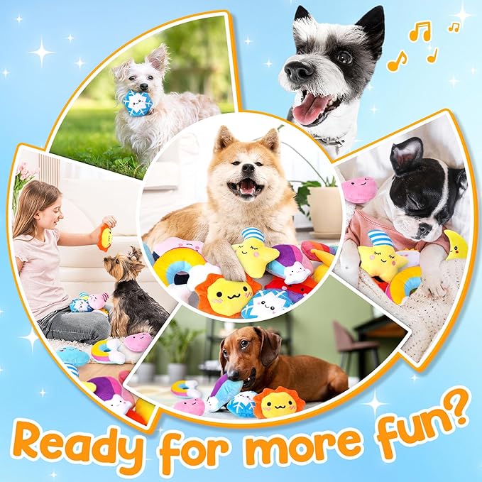 Irresistible Weather-Themed 20-Pack Squeaky Dog Toys Set for Small Dogs &amp; Puppies, Included 16 Plush Toys with Vibrant Characters to Keep Them Busy &amp; 4 Dog Bags