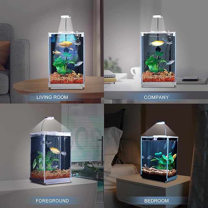 Wonderfactory 3 Gallon Aquarium Fish Tank, Self-Cleaning Betta Tank with Filter and Light, Starter kit with Rocks, Plants &amp; Cleaning Tools, Suitable for Beginners and Hobbyists
