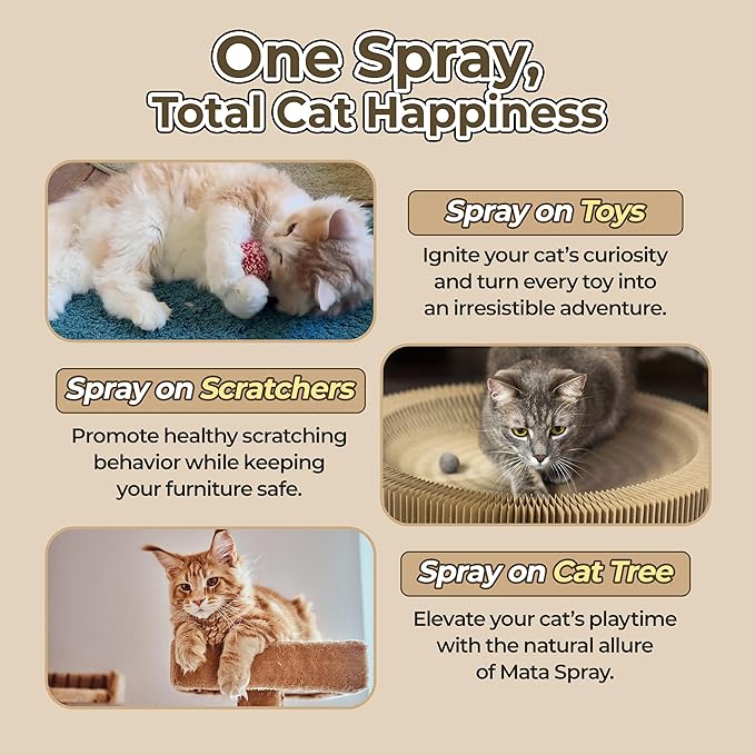 JAYU PET Active MATA Spray – 100% Natural Silvervine Spray for Cats, Liquid Catnip Alternative, Calming Spray for Indoor Kittens, Boosts Play &amp; Engagement, Reduces Stress (1 fl oz)