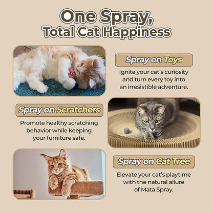 JAYU PET Active MATA Spray – 100% Natural Silvervine Spray for Cats, Liquid Catnip Alternative, Calming Spray for Indoor Kittens, Boosts Play &amp; Engagement, Reduces Stress (1 fl oz)