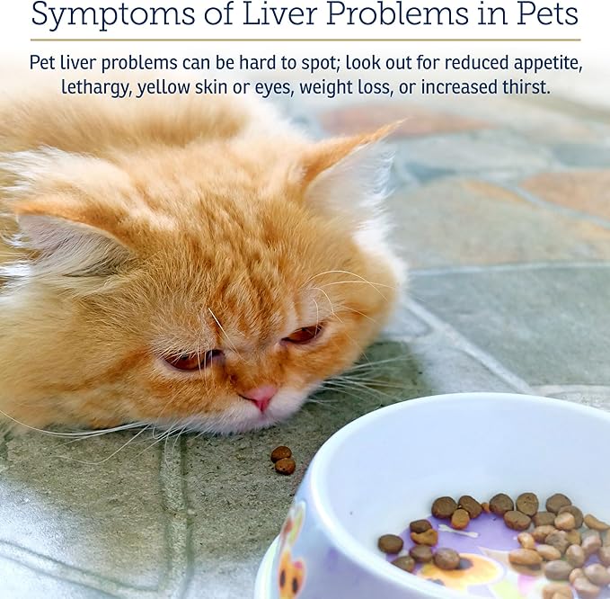 Rx Vitamins Liquid Hepato Support for Dogs &amp; Cats - Liver Support Supplement with Milk Thistle for Dogs (Silymarin &amp; Silybinin) and Vitamin B - Bacon Flavor (4oz)