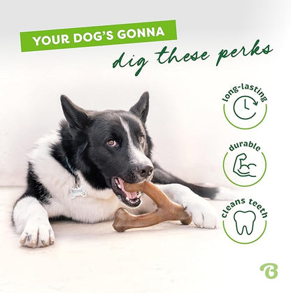 Benebone Medium 3-Pack, Wishbone Durable Dog Chew Toy for Aggressive Chewers, Real Bacon, Chicken, Peanut Butter, Made in USA, Variety Pack