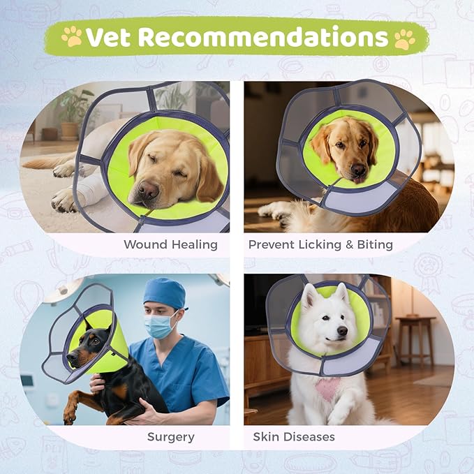 Soft Dog Cone Collar After Surgery Recovery,Adjustable E-Collar with Removable Shield,Lightweight,Breathable Anti-Licking Protective Cone for Large,Medium,Small Pets (Neon Green, M (Neck:12&